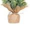 11.75" Unlit Frosted Icy Pine Christmas Tree in Burlap Base